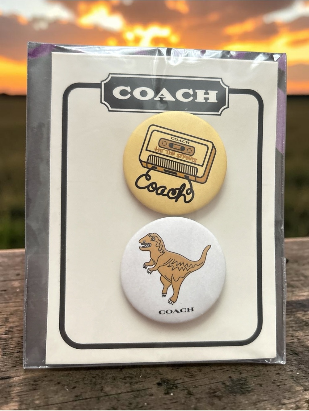 COACH Yellow & White Pin Button Duo with Cassette and Dino Motifs